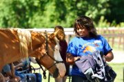 Hope-Thru-Horses Women's Leadership Retreats